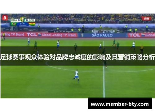 足球赛事观众体验对品牌忠诚度的影响及其营销策略分析
