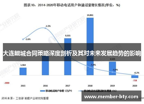 大连鲲城合同策略深度剖析及其对未来发展趋势的影响