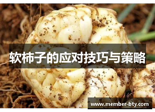 软柿子的应对技巧与策略
