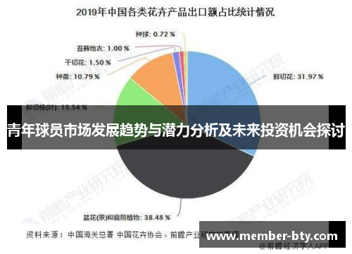 青年球员市场发展趋势与潜力分析及未来投资机会探讨
